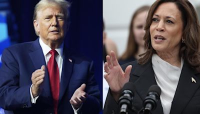 Kamala Harris llega a su primer gran examen: 6 claves del decisivo debate con Donald Trump