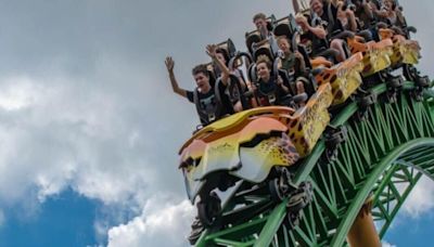 Busch Gardens is building a new coaster, and fans can name it