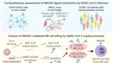 New study identifies mechanism of immune evasion of SARS-CoV-2 and variants