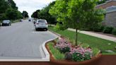 Upcoming survey will determine new green infrastructure project for Petoskey