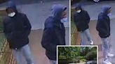 Over a dozen victims ambushed by NYC teen robbery crew at Bronx park in months-long spree: cops