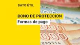 Bono de Protección: ¿Cómo se paga el beneficio para dueñas de casa que se extiende por dos años?