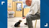 Late Virginia Beach therapy dog's legacy continues with 12-week-old Skippy Jr.