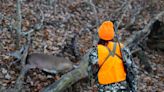 Public Approval for Hunting and Recreational Shooting Continues to Decline in the U.S.