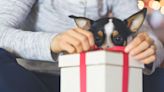 Mother’s Day Gift Guide 2024: The Most Thoughtful Gifts For Pet Moms