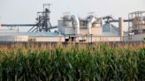 Ethanol: Catalyst for a sustainable future