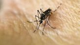 This year’s first cases of West Nile in mosquitos reported in 2 Illinois counties