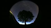 Sycamore Gap tree, made famous in 'Robin Hood,' cut down by 'vandals'