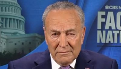 Chuck Schumer dodges when asked if he pushed Biden to QUIT