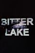 Bitter Lake (film)