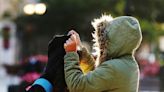 Temperaturas acima da média e pouca chuva: veja as principais tendências para o inverno que começa nesta quinta