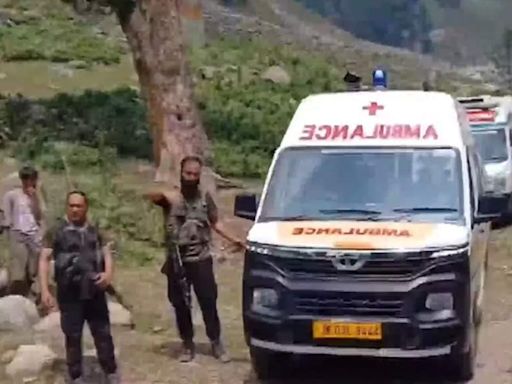 5 children among 8 killed after vehicle falls into gorge in Jammu and Kashmir's Anantnag | Jammu News - Times of India