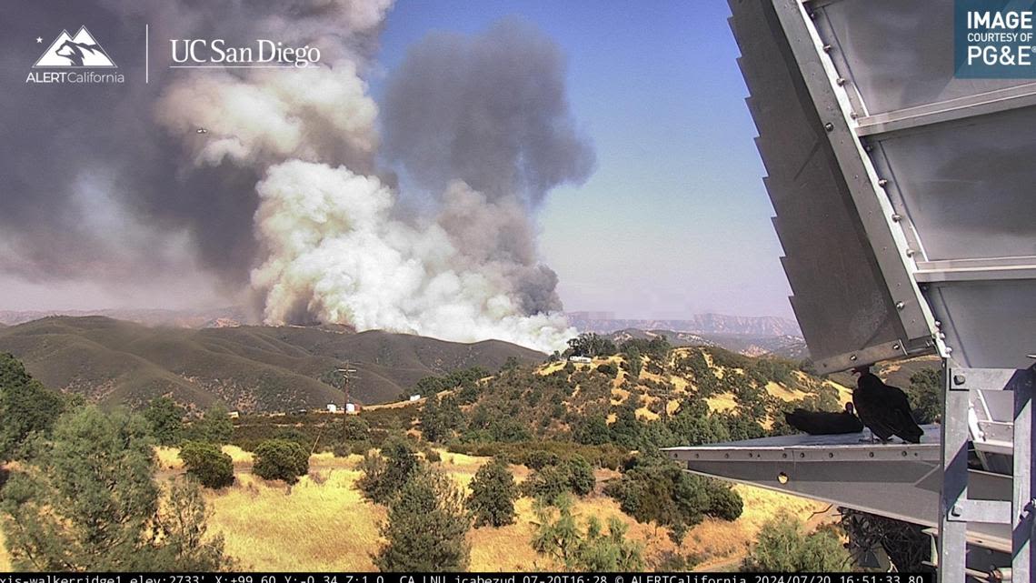 Ridge Fire 10% contained after burning more than 2,000 acres, evacuations still in place for Colusa, Lake counties