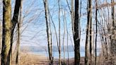 A hiker's path: Trekking the ethereal forest of Hardy Lake State Recreation Area