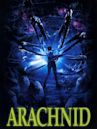 Arachnid (film)