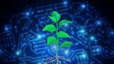 Artificial intelligence helps scientists engineer plants to fight climate change