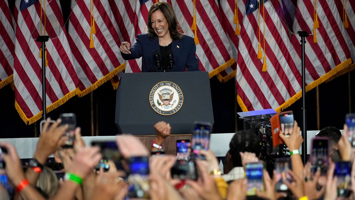 Arizona Democratic delegates unanimously back Kamala Harris as nominee