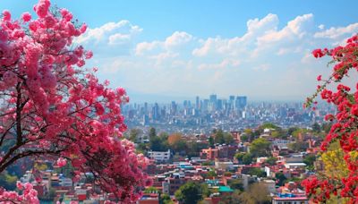 Clima en EEUU: temperatura y probabilidad de lluvia para Los Ángeles este 7 de junio