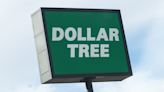 Dollar Tree: 10 Best New Arrivals for Your Money in June