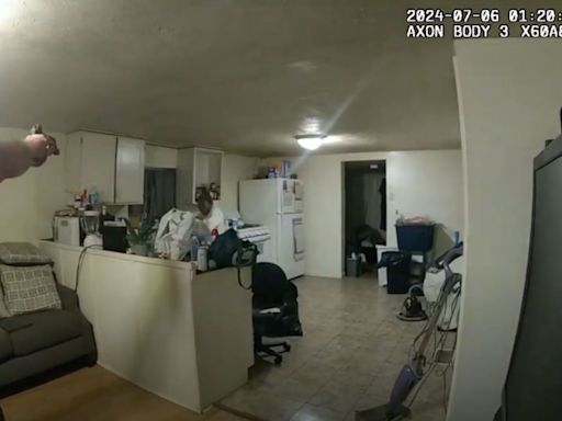 Illinois Police release bodycam video of fatal shooting of Black woman in her home