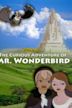 Mr. Wonderbird