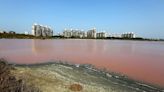 Lake levels surpass 50% but BMC officials say water cut to stay