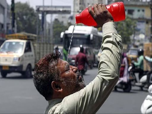 Nearly 50 degrees recorded in Delhi as heatwave sweeps north India
