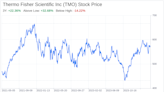 Decoding Thermo Fisher Scientific Inc (TMO): A Strategic SWOT Insight