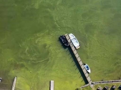 Beloved tourist attraction 'turns green and toxic' as it's overrun with visitors