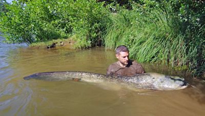 Conservationists Catch Massive, Monstrous-Looking Fish Near New York City