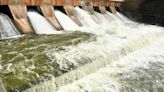 Water released from Vaigai dam to irrigate land in Madurai, Dindigul districts