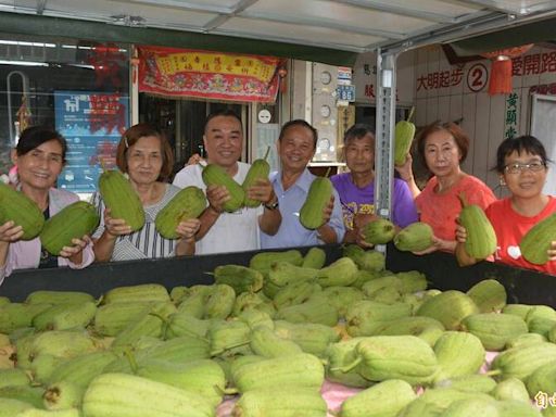 惜物！故鄉鄰居要清園 台中里長花6小時採400多條絲瓜送里民