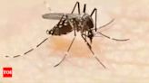 5 cases of West Nile fever confirmed in Kerala; all infected healthy | Kozhikode News - Times of India