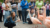 Fun Alert! Sips for Species at Nashville Zoo combines adult fun, food, spirits