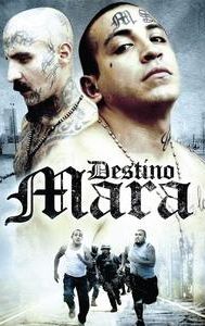 Destino Mara