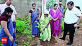 Massive Plantation Drive by 17k Women in Chhattisgarh | Raipur News - Times of India