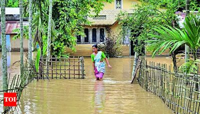 Flood situation remains grim despite let-up in rain | Guwahati News - Times of India