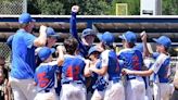 Florida's Little League World Series history? Some facts about Sunshine State teams