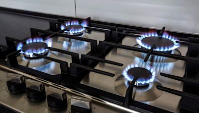 10 Best Gas Stoves in India (2024) - Buyer's Guide