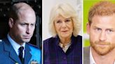 Prince William and Queen Camilla Shutting Out Prince Harry: 'He’s Out of the Fold and Exiled'