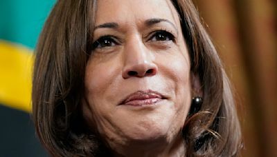 Who will replace Joe Biden? Kamala Harris leads field of Democratic contenders