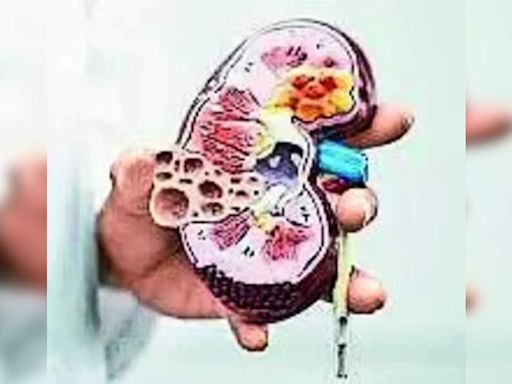 Obesity and Family History Linked to Renal Problems in Children and Adolescents in Telangana and Andhra Pradesh | Hyderabad News - Times of India
