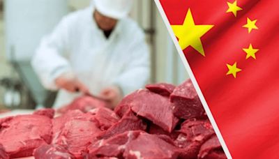 Carne vacuna: Los números con China no cierran