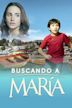 Buscando a María