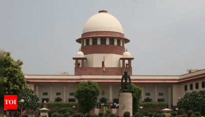 All authorities involved in tree felling, should've accepted mistake: SC | Delhi News - Times of India