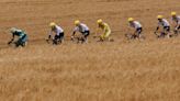 Etapa 9 del Tour de Francia: hora y dónde ver a los ciclistas compitiendo