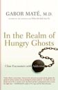 In the Realm of Hungry Ghosts: Close Encounters with Addiction