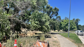 Paso Robles park set for major upgrades, including new basketball court and playground