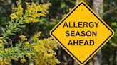 It's That Itchy Time of Year! Outsmart Spring Allergies With 4 Natural Tricks