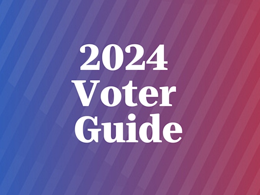 Massachusetts Voter Guide: Elizabeth Warren and John Deaton compete for US Senate